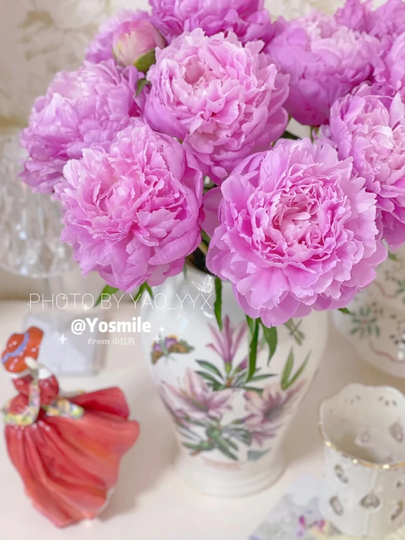 醉胭脂芍药鲜花5支--收到花第一时间醒花哟