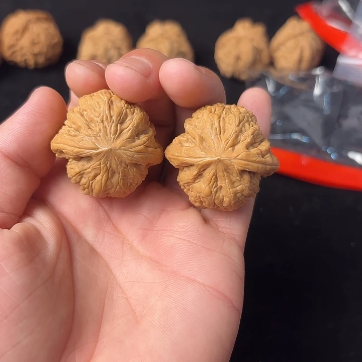 大叶紫檀（黑酸枝木类）