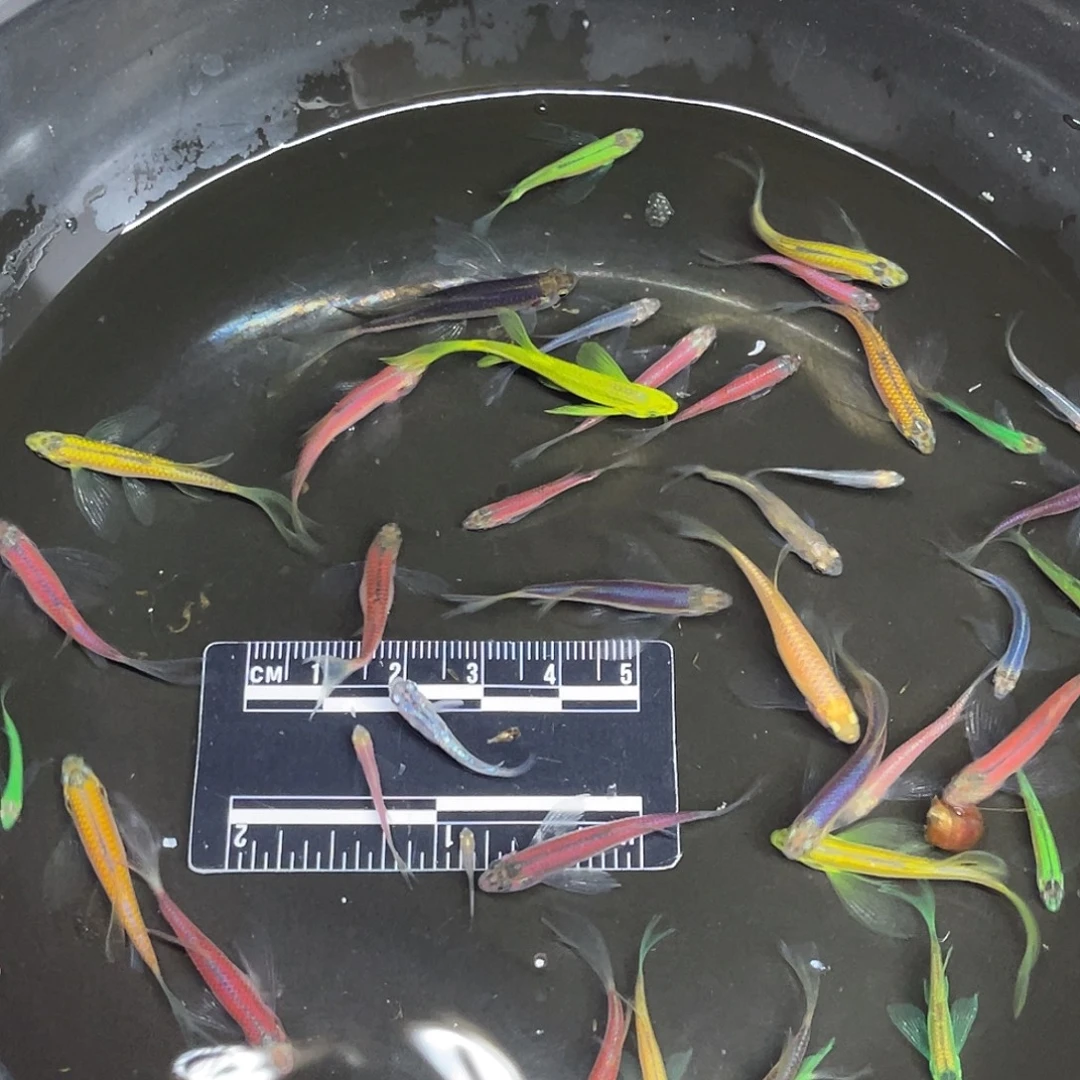 海星1-20号哈哈哈哈哈哈