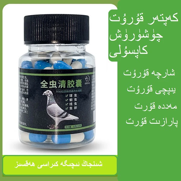 新疆包邮赛鸽信鸽用虫立清Kaptar kurut quxrux kapsuli