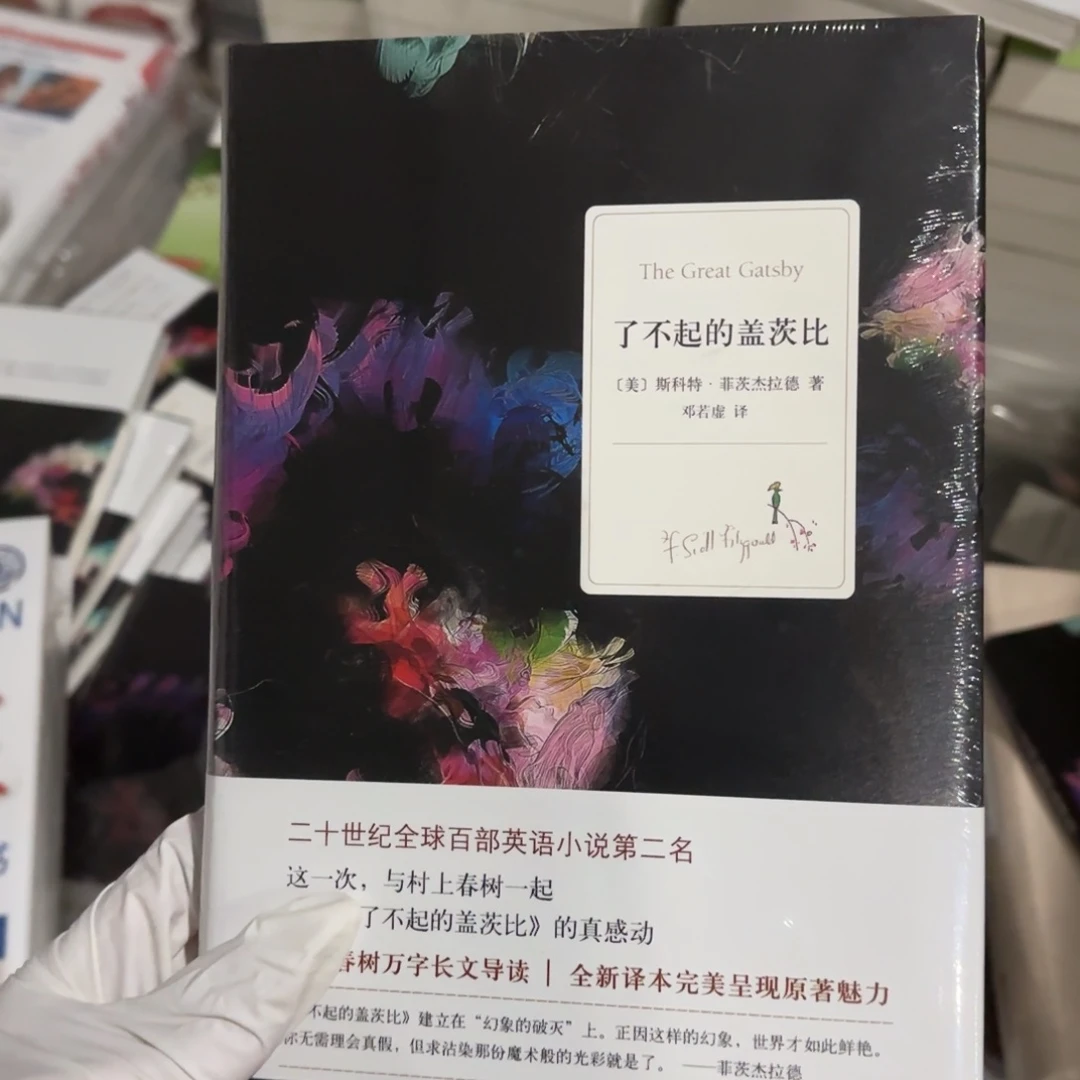 了不起的盖茨比 闪购8