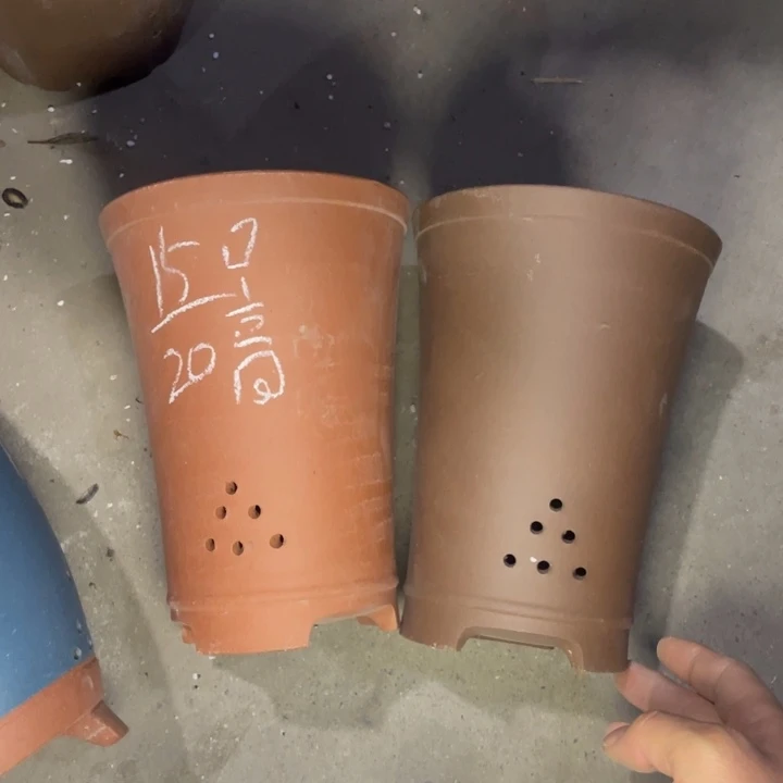 周三周四自始至终