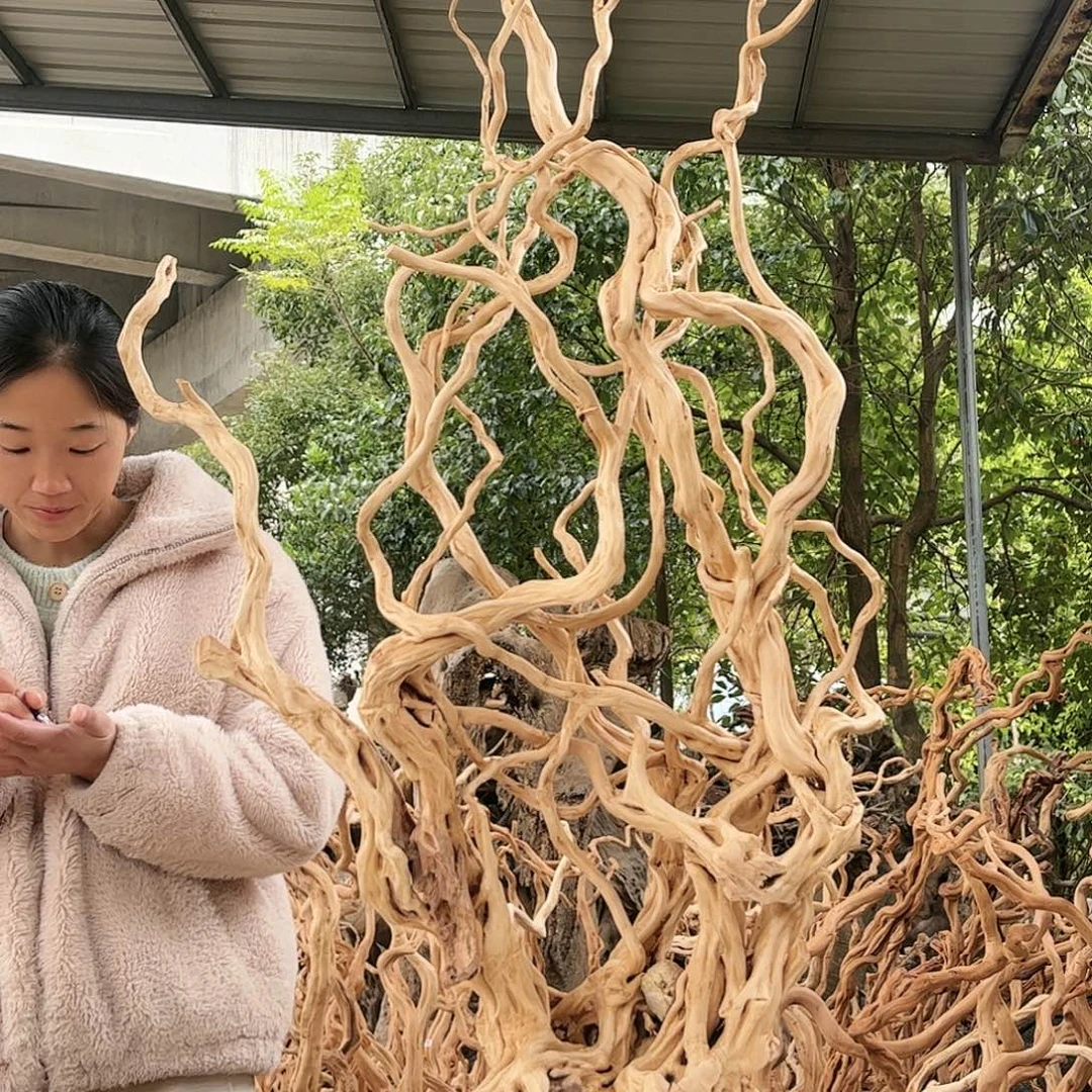 再***号香榧木你在一起就会觉得很开心