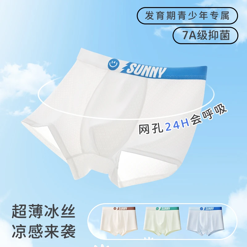 男童内裤12-15周岁发育期专用桑蚕丝大码10A儿童抑菌胖童透气运动