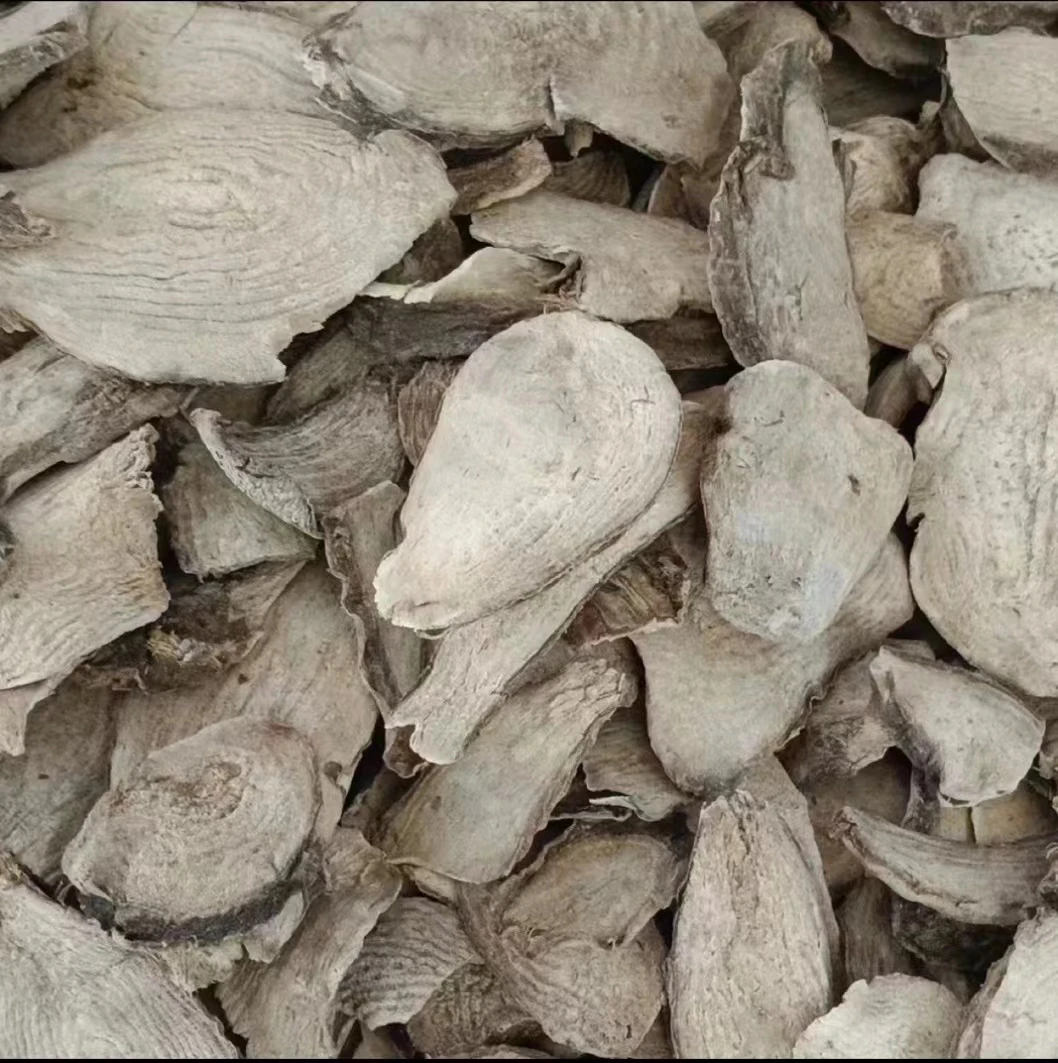 【主播精选】山货 钻地鼠