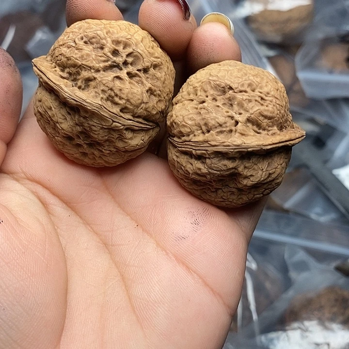 把件文玩核桃68号38mm