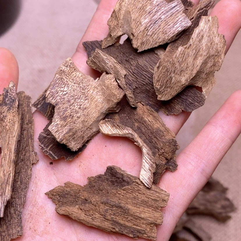 【闪购商品】香榧木芽庄10克打孔