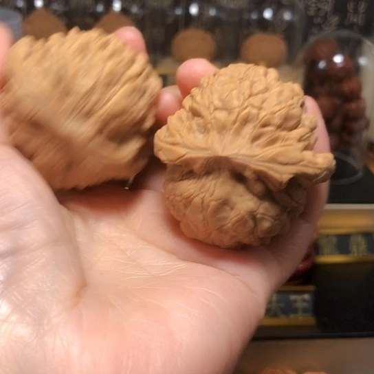 特价福利：大龙鼎