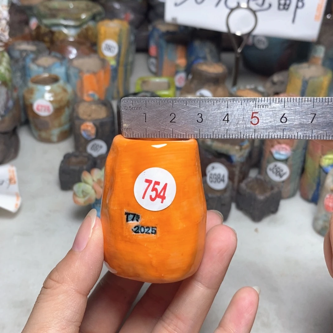 拍3送一个小礼物