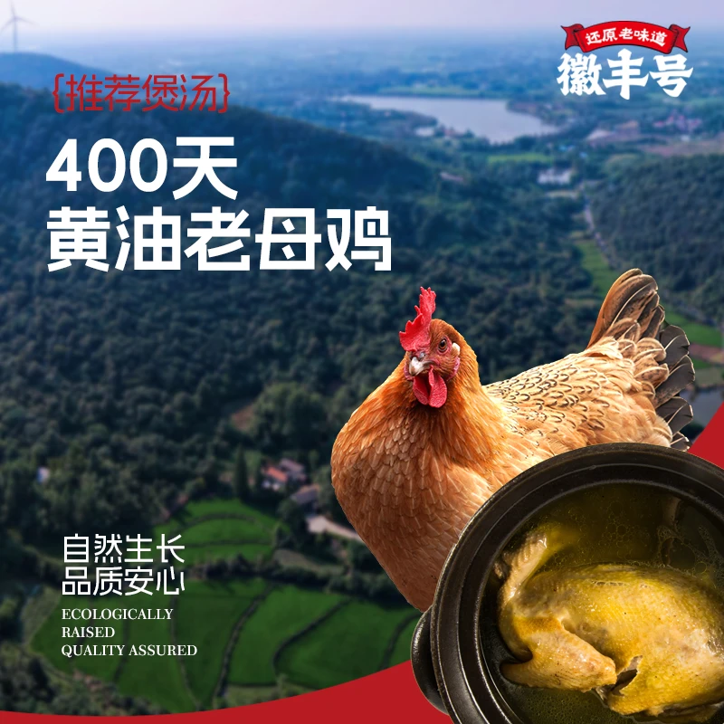 徽丰号正宗一年以上老母鸡3只装1个包裹发货共6斤以上
