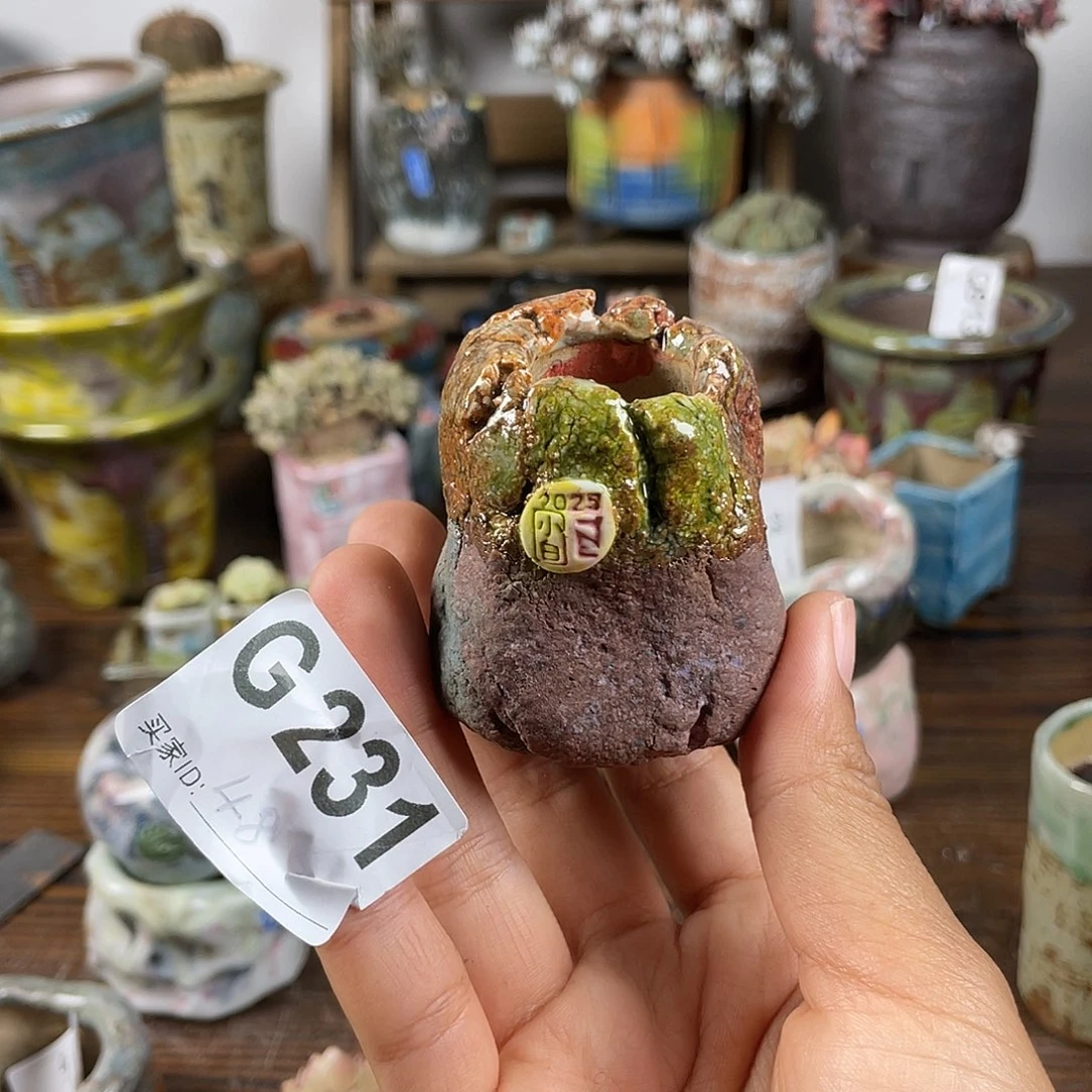 坛子姐花盆 小白孤品 内口2.5