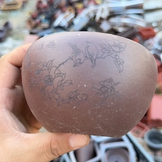 在这里祝你们新年吉祥平安健康