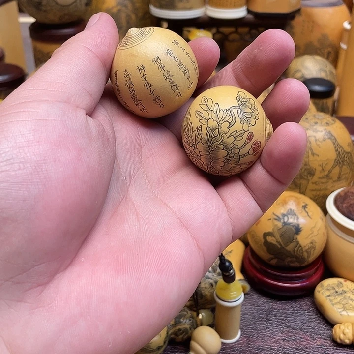 大***门我是一只小小鸟地域
