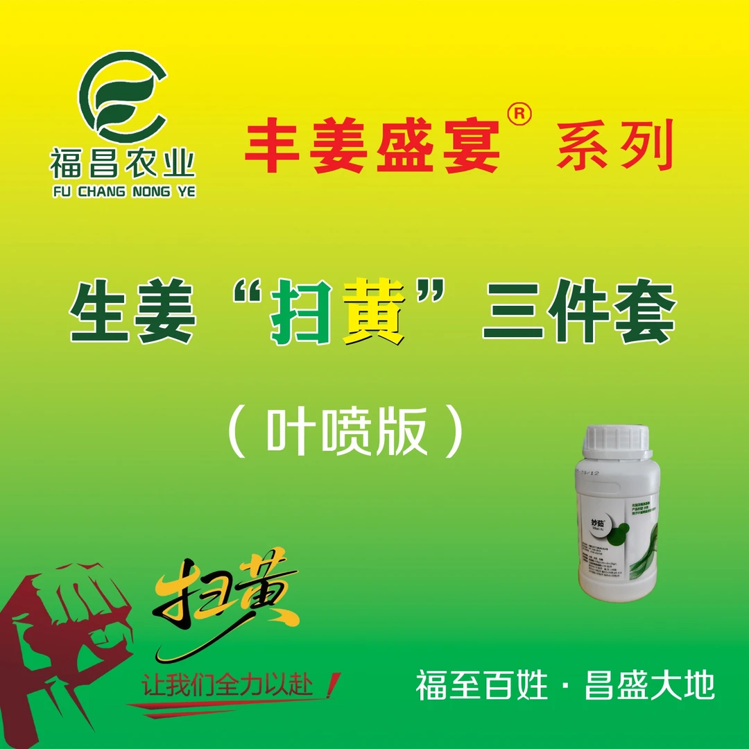 丰姜盛宴“扫黄”三件套（叶喷版  ）补铁补钙补镁防治姜黄叶保叶增产