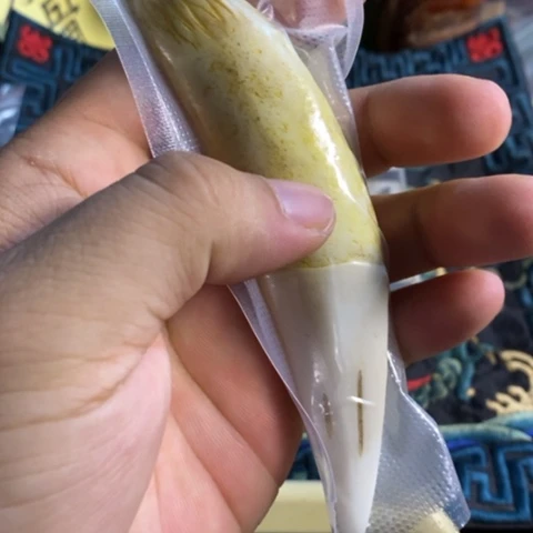 大哥专拍链接一号