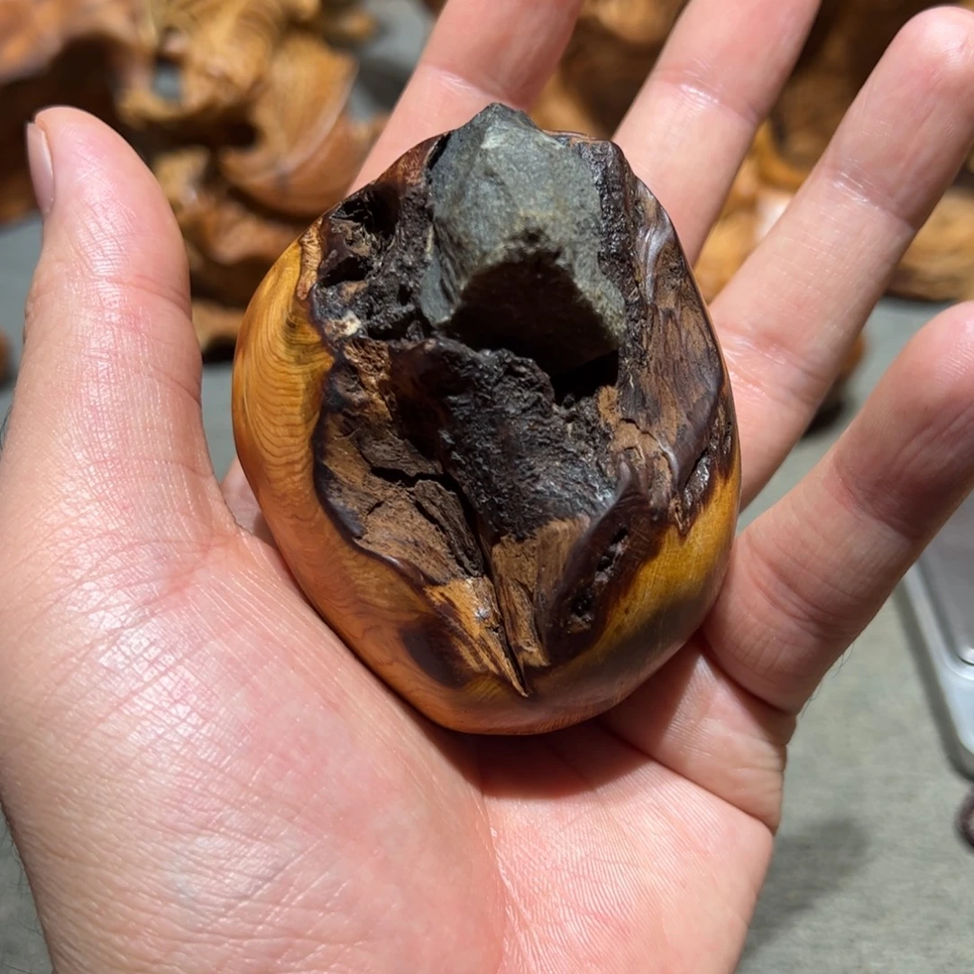 柏木（崖柏）北太行陈化崖柏