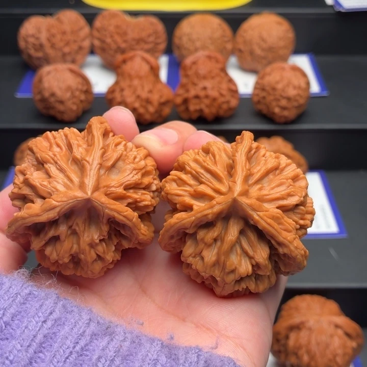 核桃16号全品奔三棱45尺