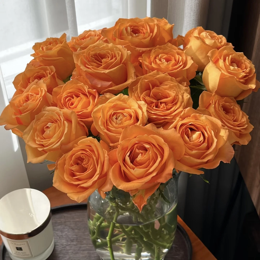 【国王日AK】10枝单头玫瑰  基地直发  | 全场任意满两单鲜花包邮