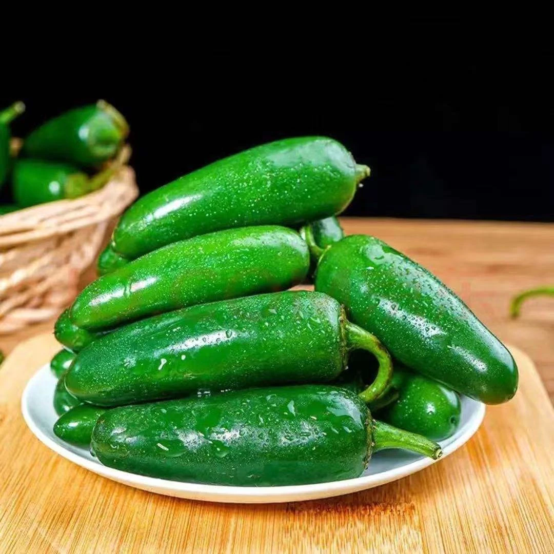 （五斤）东北新鲜港椒泡椒皮薄肉厚脆嫩可腌制咸菜可油焖