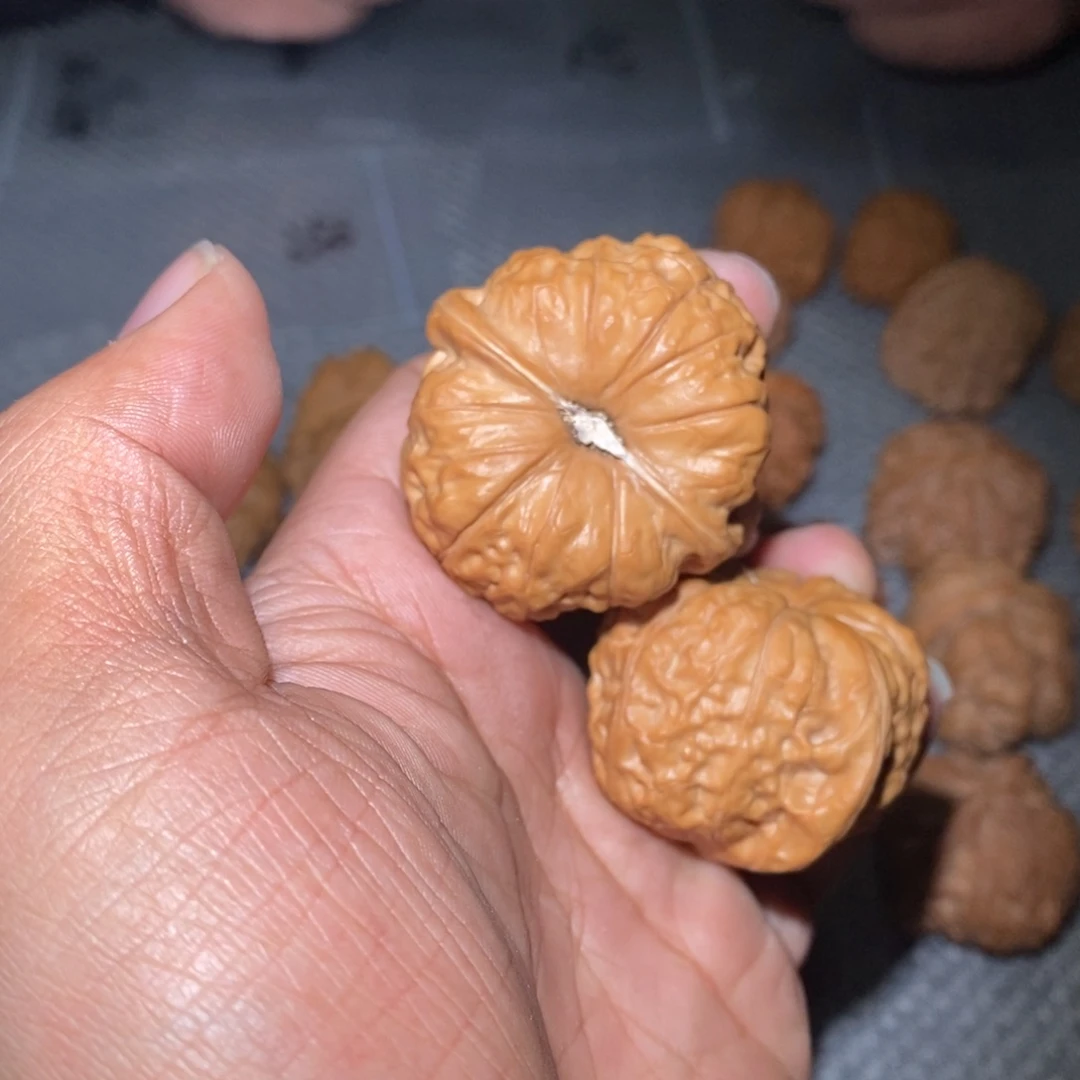 噼***啦南瓜墩。
