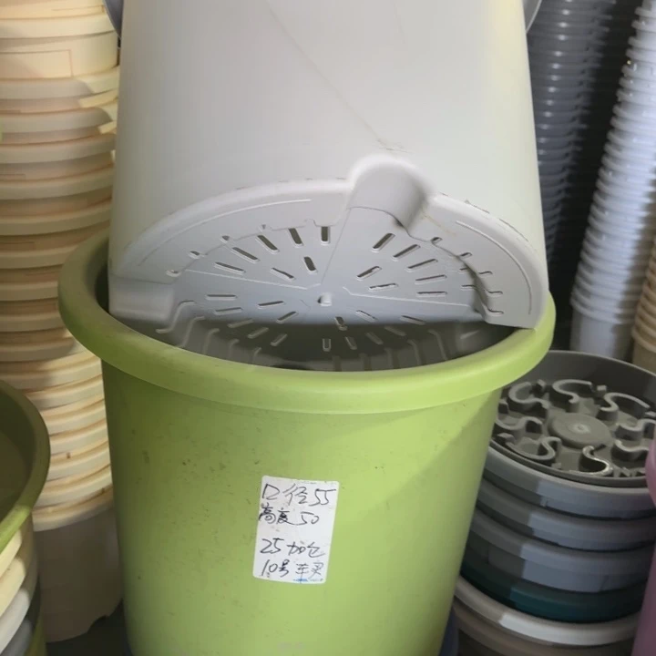 微瑕55口无托果绿2个