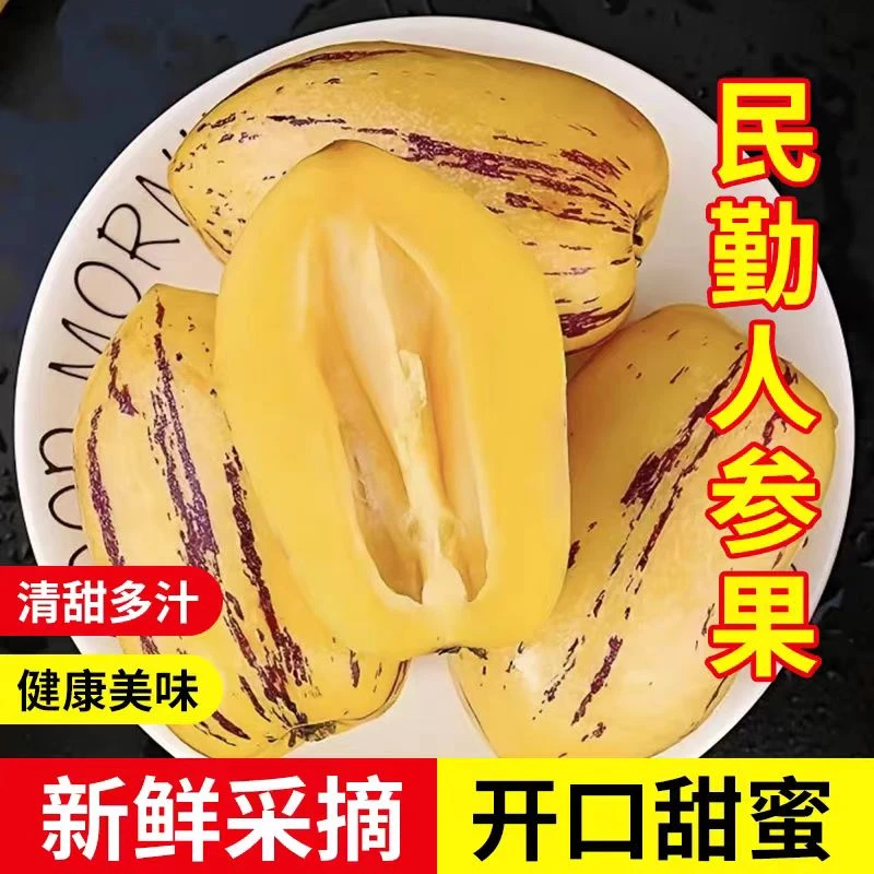 甘肃民勤低糖人参果带箱5斤沙漠人参果