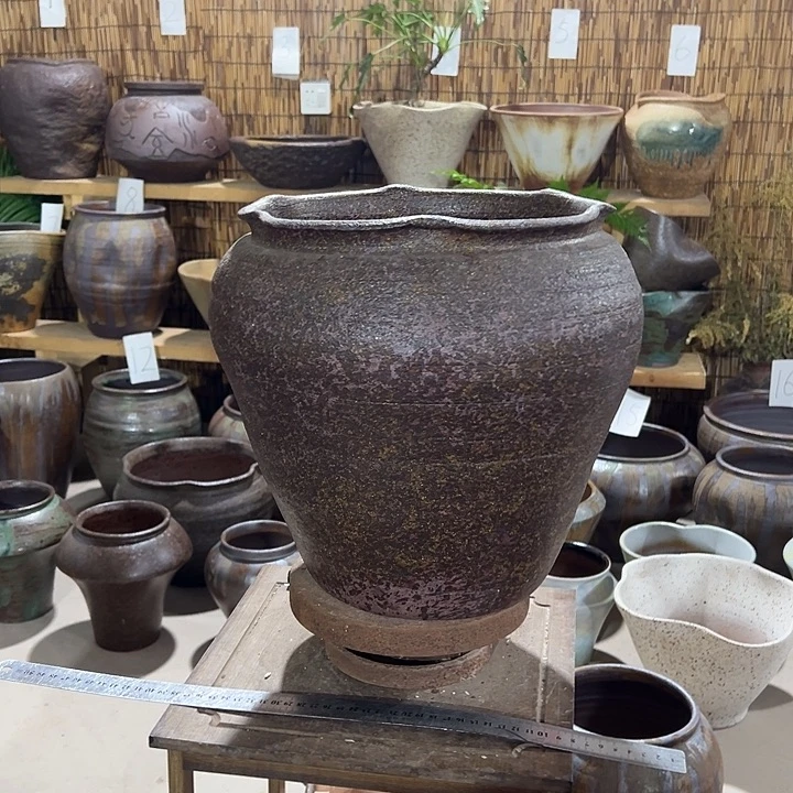 高31/28花盆改革不能你家