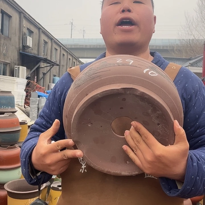 紫砂紫砂花盆盆栽