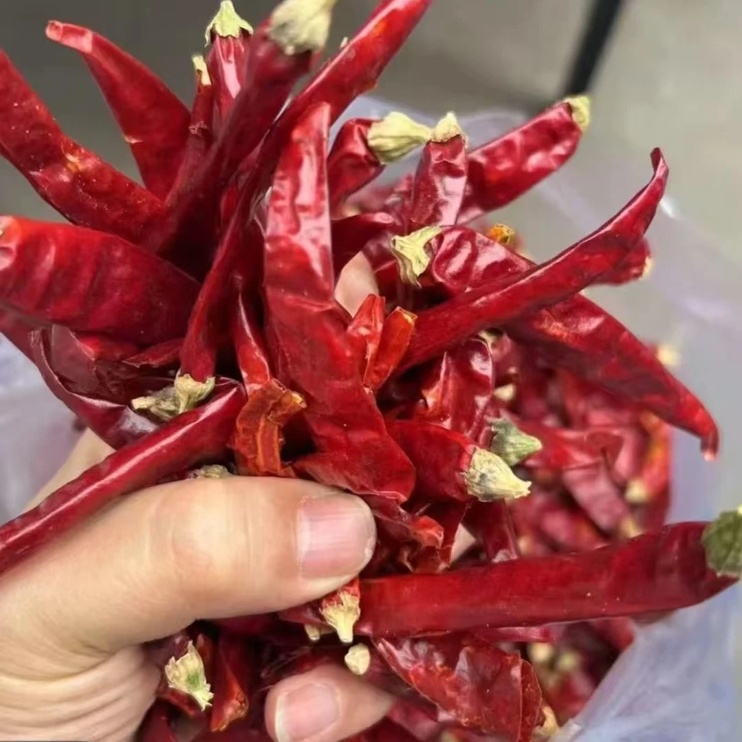 净重发川味精品特辣特香小米辣农家干货朝天椒魔鬼椒