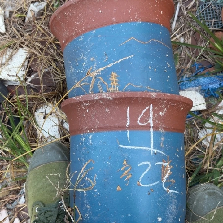 紫砂花盆紫砂的花