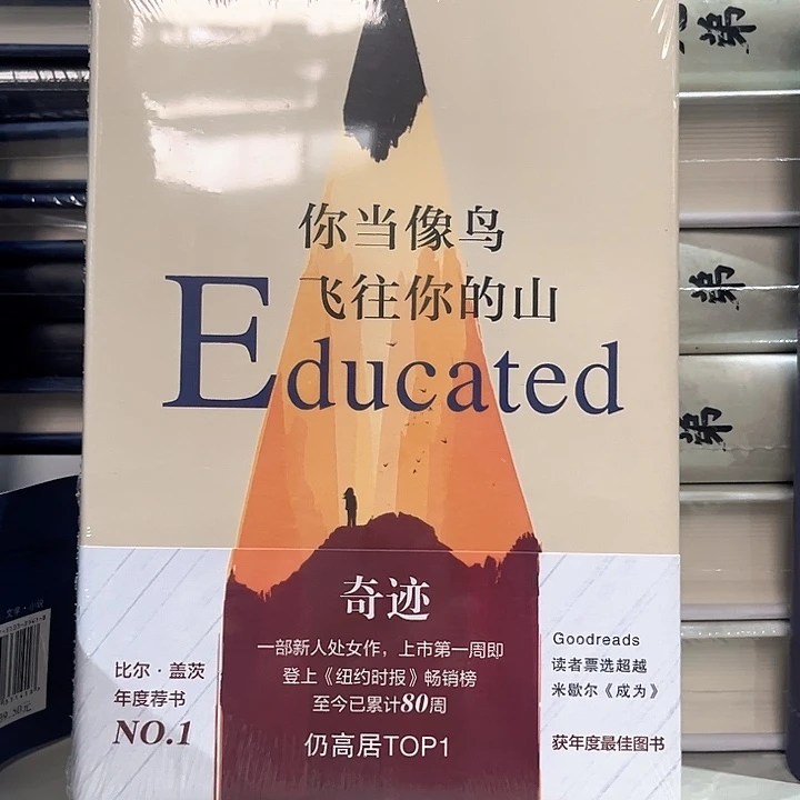 你当像鸟飞往你的山