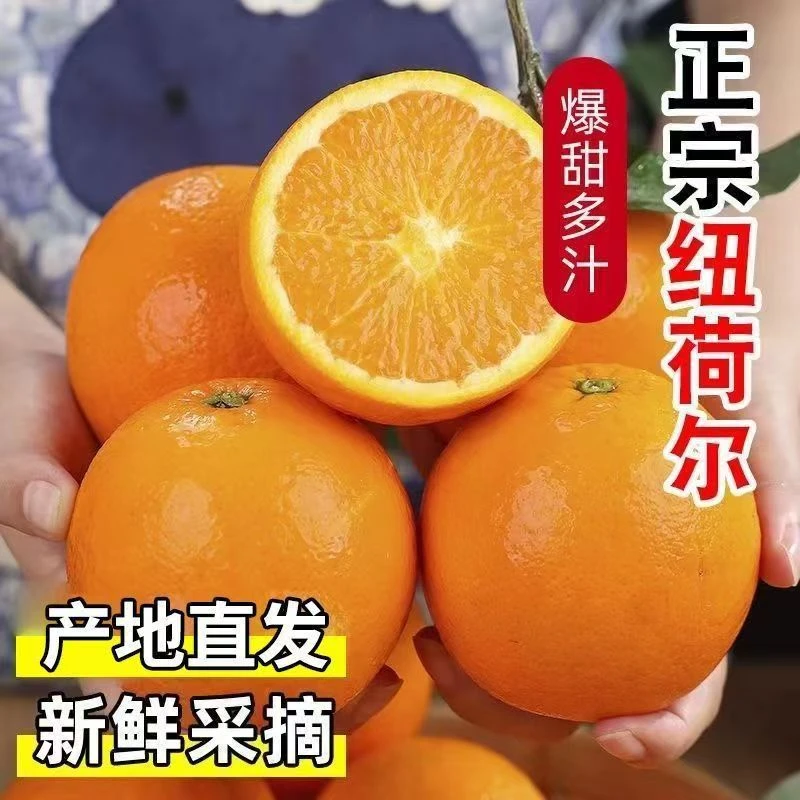 纽荷尔脐橙应季水果清甜多汁带箱9-10斤70-80mm大果包邮D