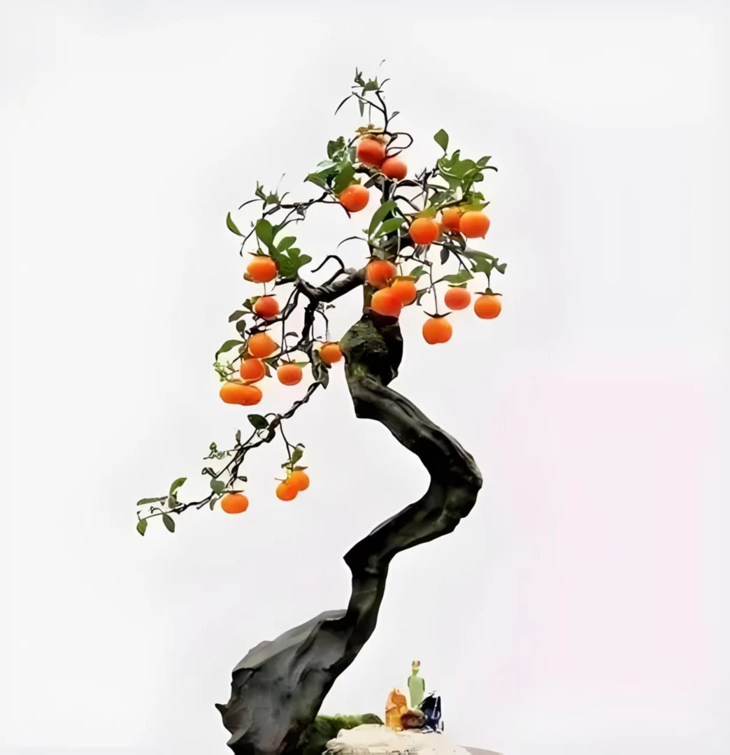 灌木金弹子直播间，一拍一付