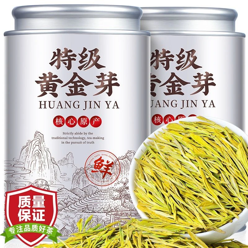 【口粮黄金芽】绿茶2025新茶浓香嫩芽茶叶正宗浙江珍稀白茶送礼罐装