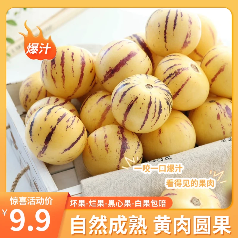云南石林人参果新鲜水果树熟黄肉圆果皮薄肉厚清甜多汁应季水果