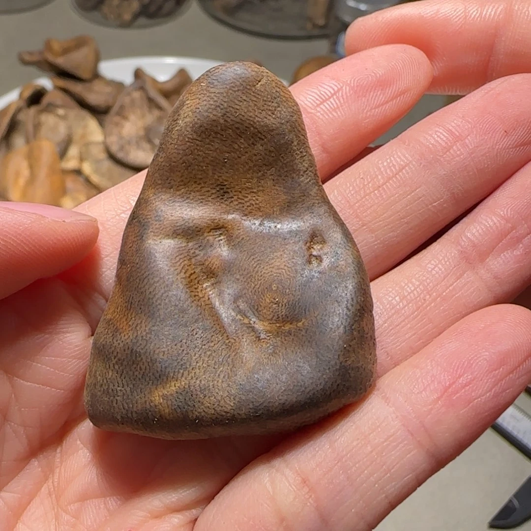 沉香碎屑沉香奇楠小包头4.7克