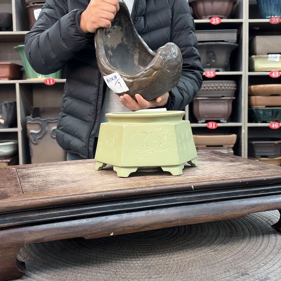 紫砂花盆果**溅紫砂的颜色很