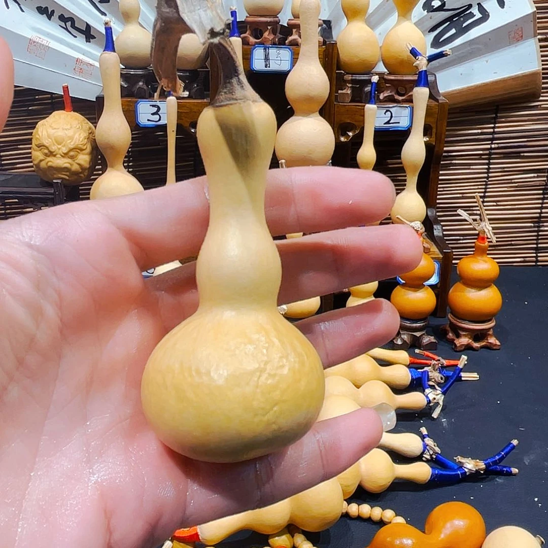 鹏。。。。。。。。。。。。。。。