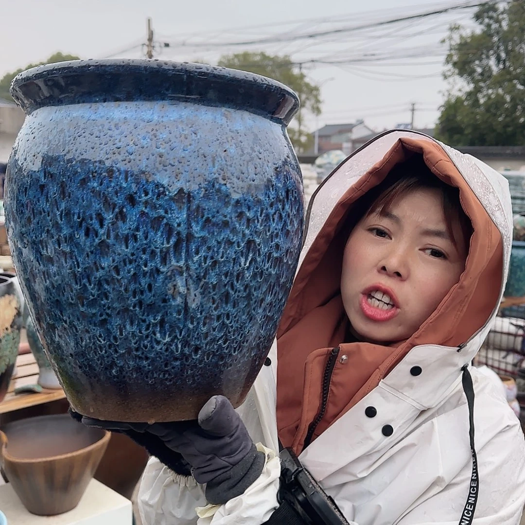 王嫂花盆1213-317高30口28