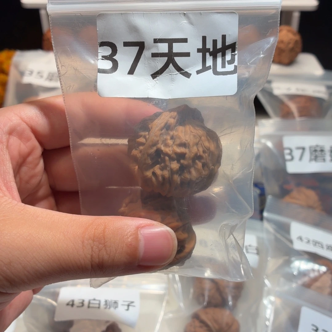 ****君文玩核桃把件37天地