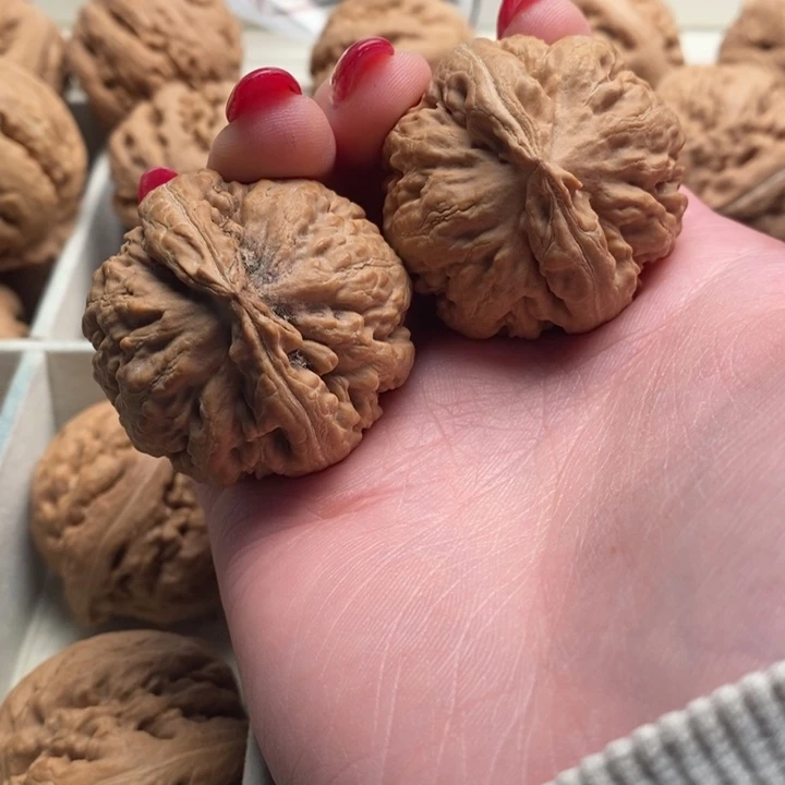 枯***鸭霸王龙全品无修一刀没动