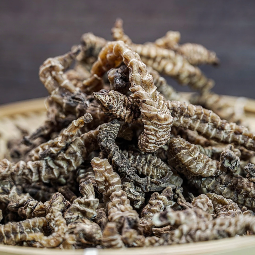 地参虫草参干货煮茶煲汤