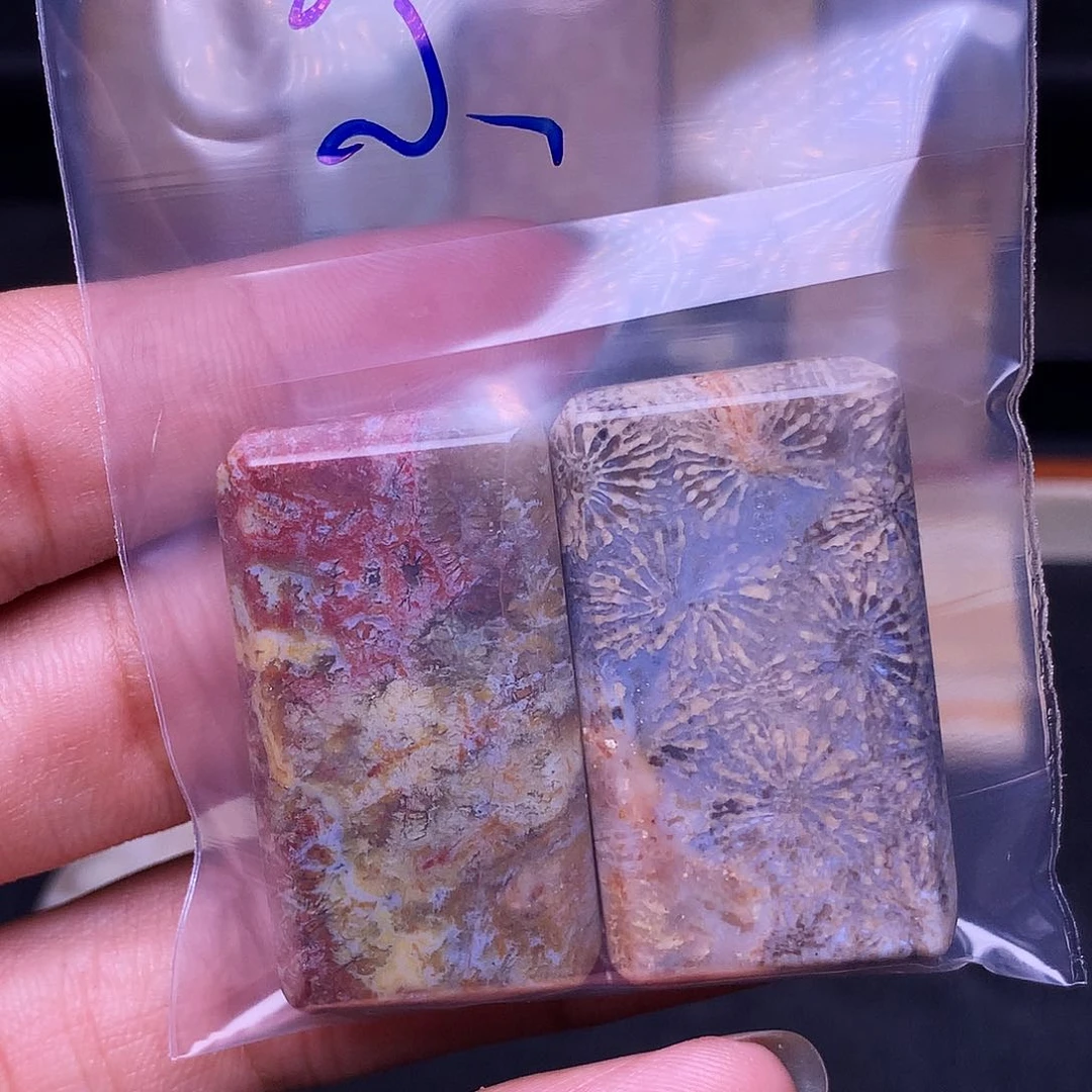 小***画合金硅化珊瑚（珊瑚玉）珠宝奇石