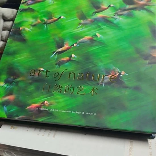 自然的艺术精装塑封全新