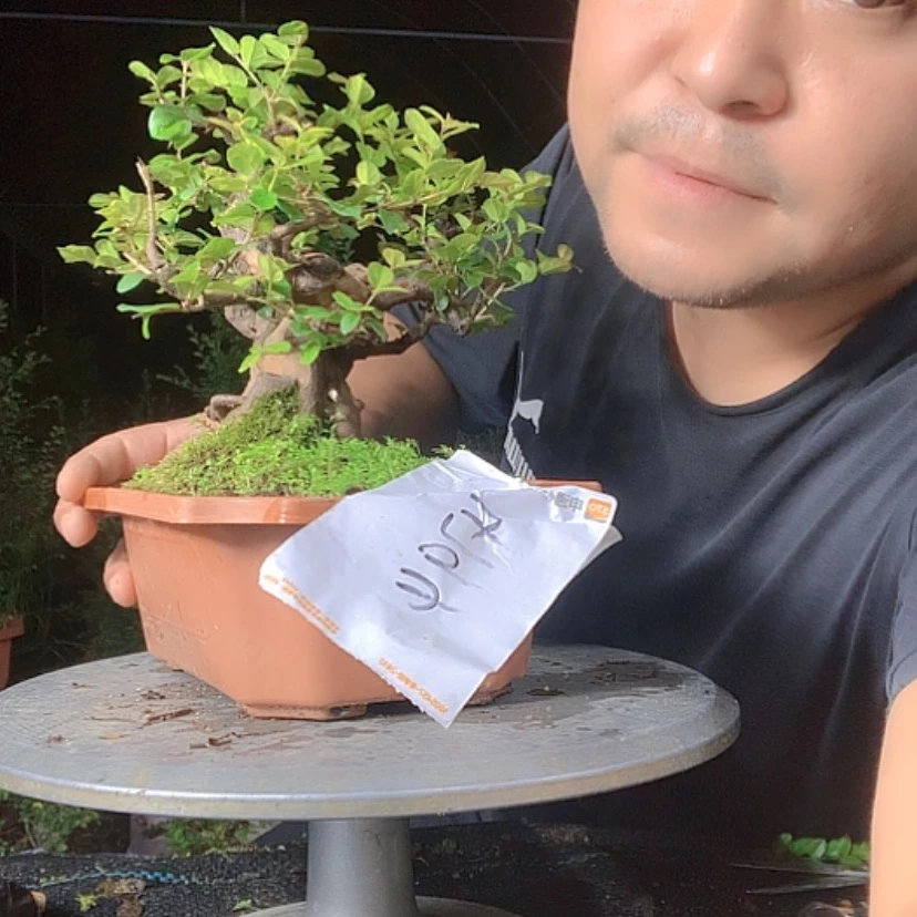 【闪购商品】无花朵