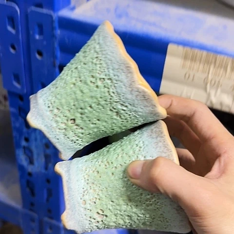 ···2个处理······3005