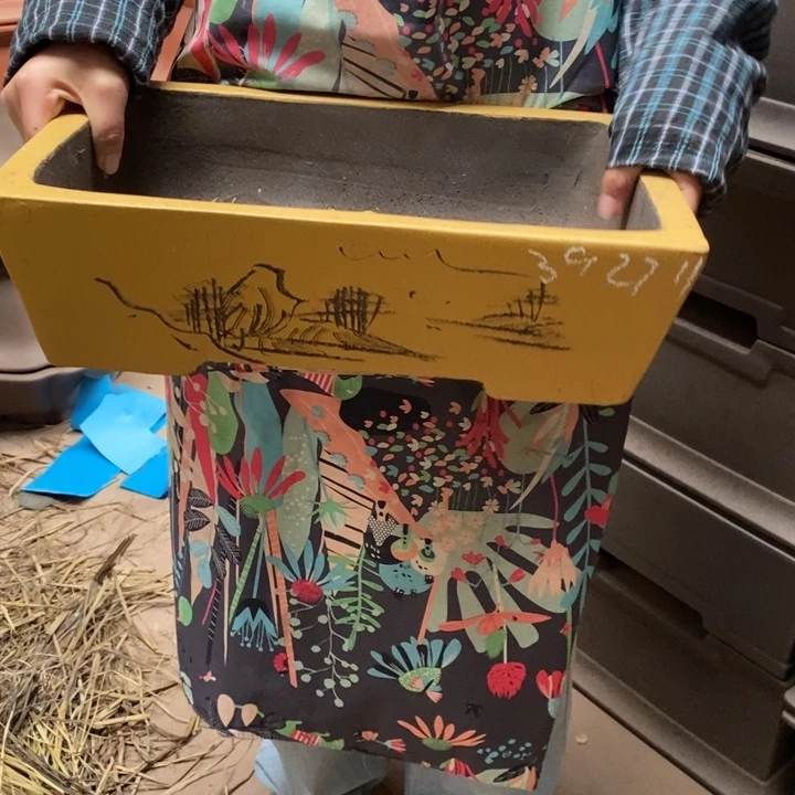 花盆紫砂只顾看手机的日子