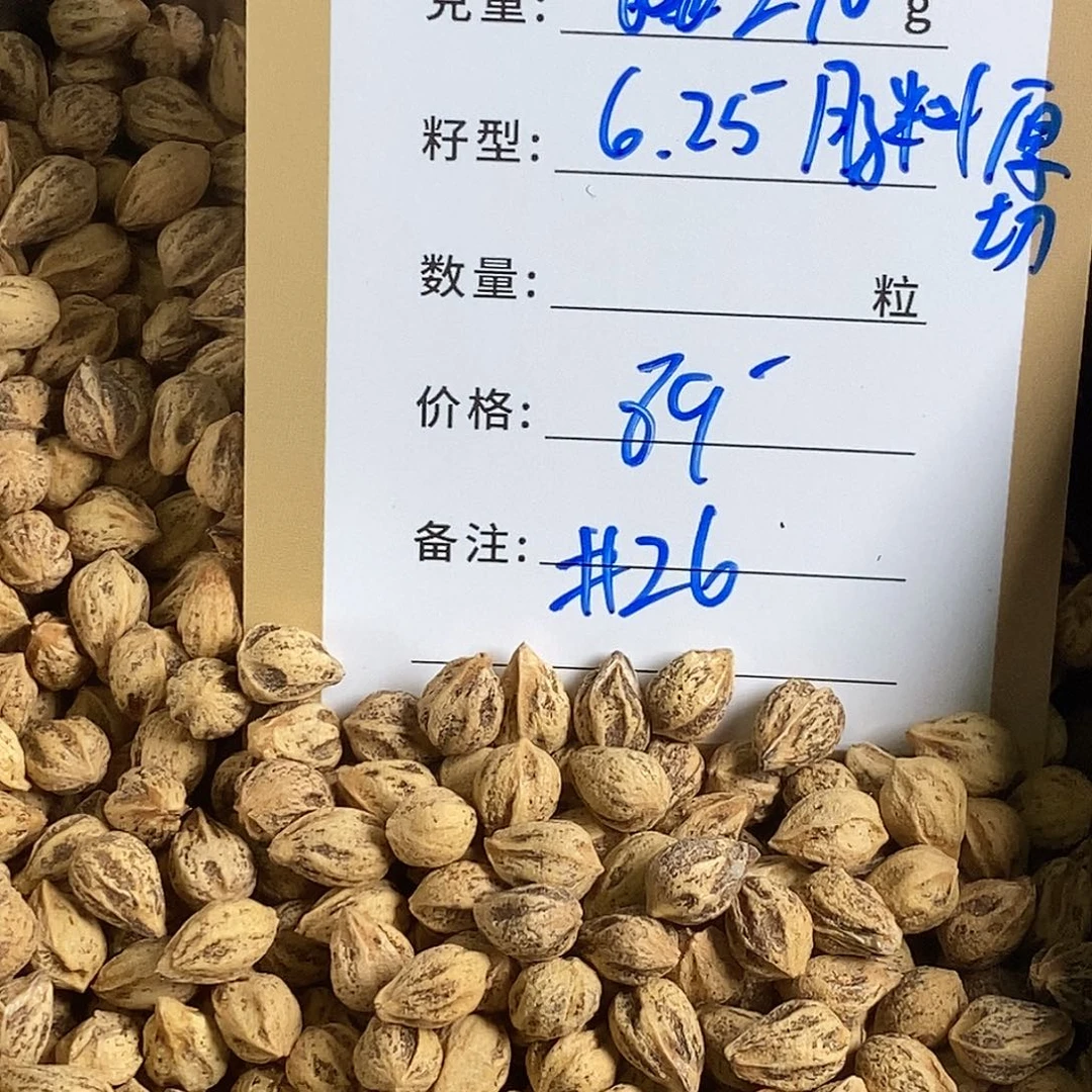 小***猪柏香籽/百香籽吊坠26号