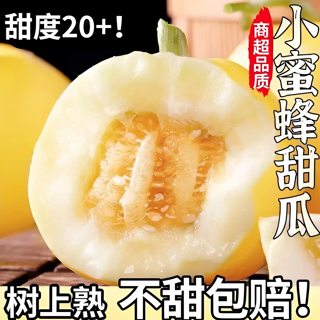 现摘头茬正宗小蜜罐香瓜甜瓜早甜脆甜瓜脆甜香甜小蜜蜂香瓜甜瓜