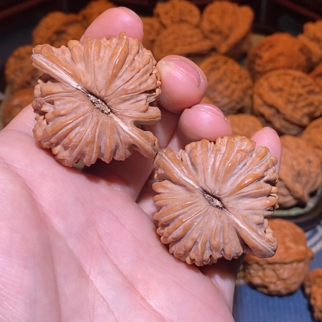 43尺 全品白茬 原桩 四座楼